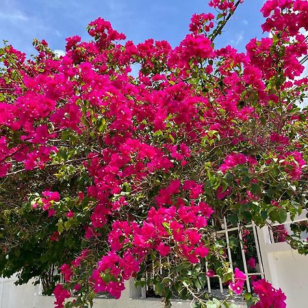 Les Villas Du Bambou - Villa Paprika Jusqu'A 6 Pers Le Gosier  Eksteriør billede